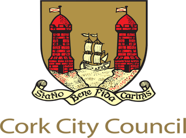 Cork City Council Vacant Houses